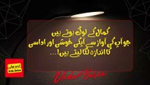Aqwal Zareen  I  Urdu Quotes  I  Sunehri Batain   I  Urdu Bolee