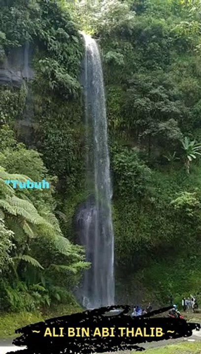 Kata bijak motivasi hidup mutiara sufi sayyidina Ali bin Abi Thalib