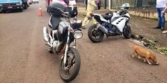 Motociclistas sofrem contusões após colisão de trânsito no Bairro Universitário