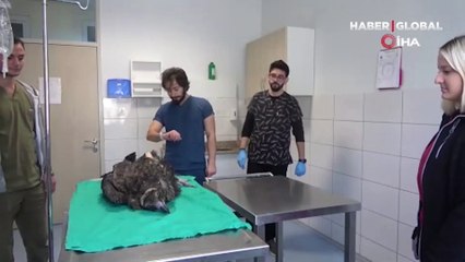 İlk geldiğinde durumu çok kötüydü... Ampute edildi