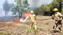 Bombeiros tentam apagar fogo no matagal próximo ao CAIC Juscelino Kubitschek