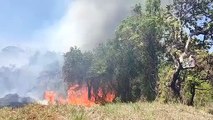 Bombeiros tentam apagar fogo no matagal próximo ao CAIC Juscelino Kubitschek parte 2