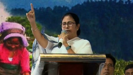 আমি টাটাকে তাড়াইনি,সিপিএম টাটাকে তাড়িয়েছে: মমতা বন্দ্যোপাধ্যায় | Oneindia Bengali