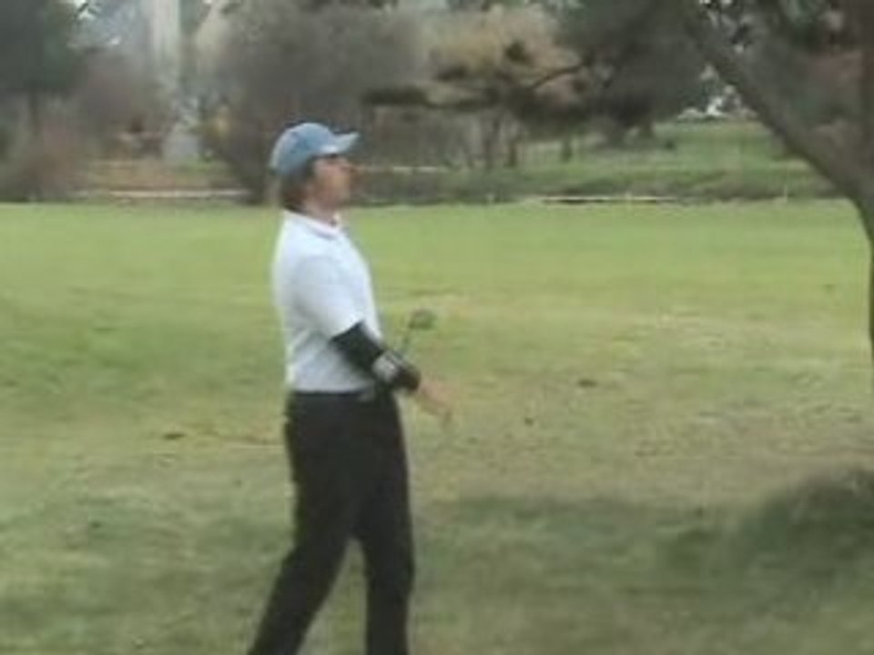 Swings de Links