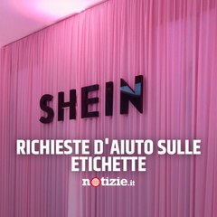"Ho bisogno di aiuto": i clienti trovano preoccupanti messaggi sulle etichette dei vestiti di Shein