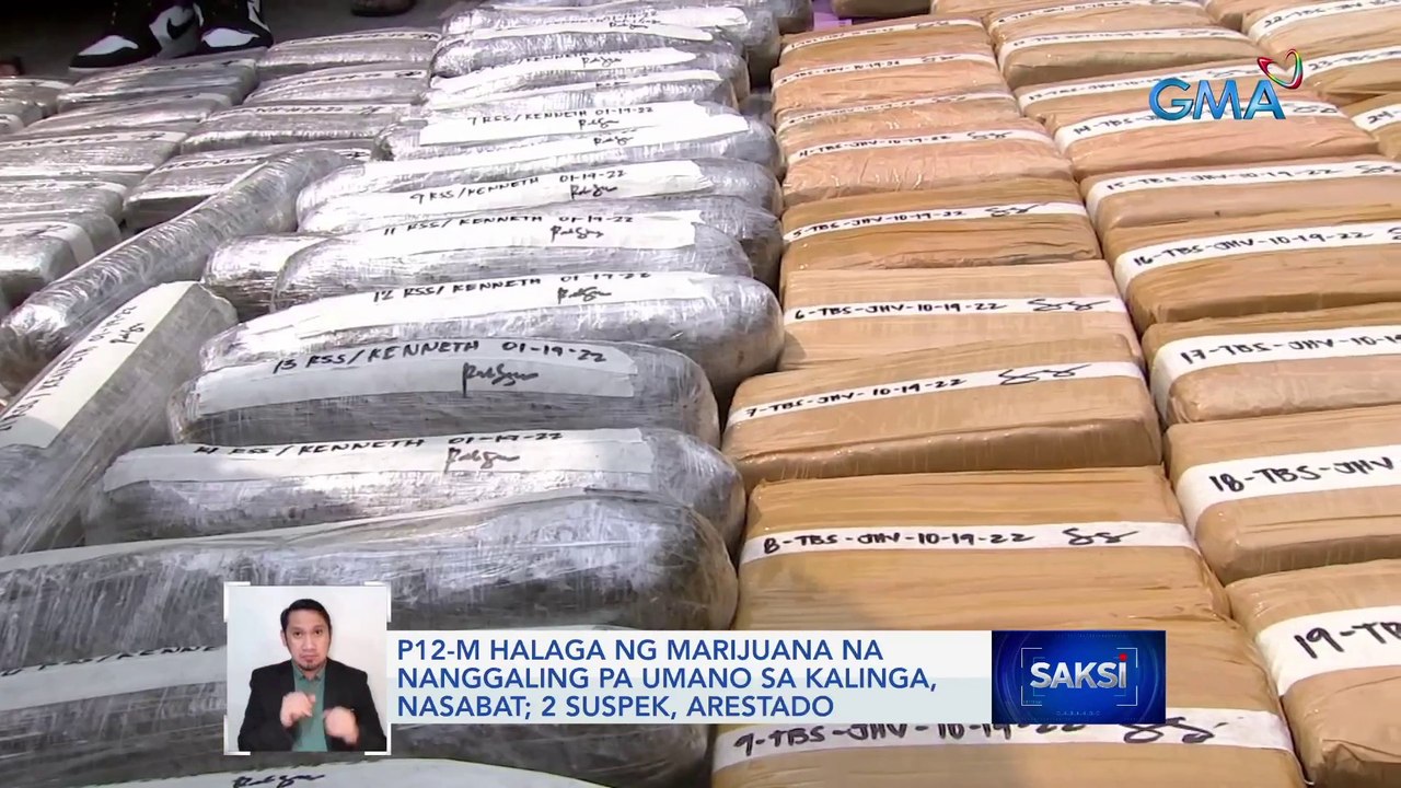P12-M halaga ng marijuana na nanggaling pa umano sa Kalinga, nasabat; 2 suspek, arestado | Saksi