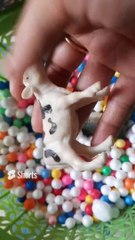 Cow Short Video, Cow Mooing Short, Cow Song #cowlover #cowshorts