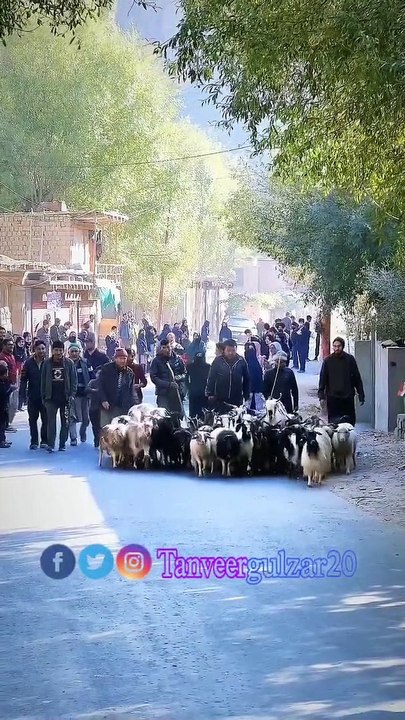 Kabi kabi itefaq sai  .#roadtrip  #reelsinstagram #autumnvibes  #summervibes #trendingreels #shorts