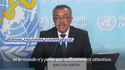 Le chef de l'OMS s'inquiète d'un possible "génocide" dans le Tigré éthiopien