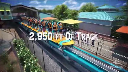 Pipeline: The Surf Coaster