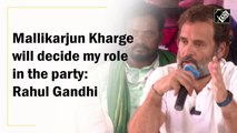 Mallikarjun Kharge will decide my role in the party: Rahul Gandhi