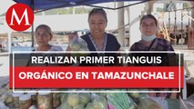 Llevan el huerto orgánico al comercio local y justo en la Huasteca Potosina