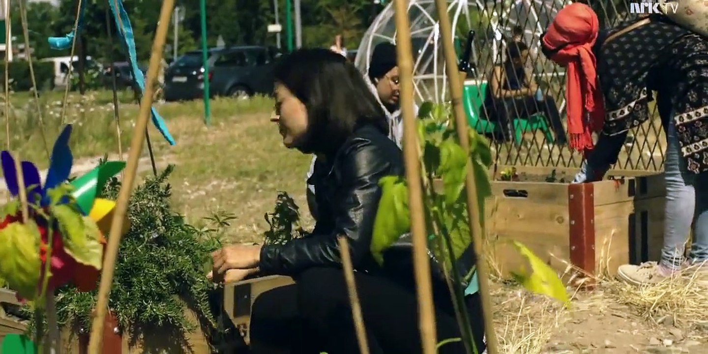 Die dünne blaue Linie Staffel 1 Folge 2