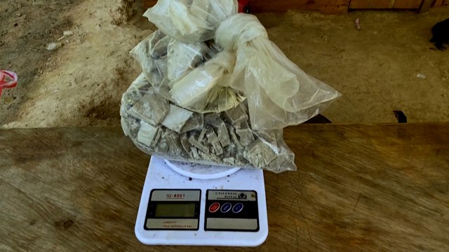 Guerre contre la drogue: la Colombie n’a jamais planté autant de coca