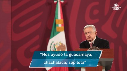 “Nos ayudó la guacamaya, chachalaca, zopilota”: AMLO presume aprobación a nivel mundial