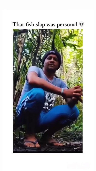 Funny videos.....