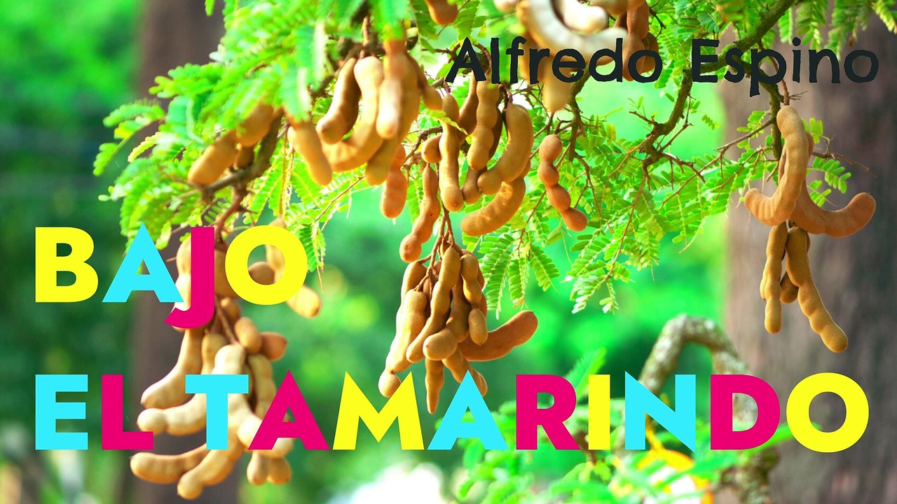 BAJO EL TAMARINDO ALFREDO ESPINO ‍ | Jícaras Tristes Auras del Bohío  | Alfredo Espino Poemas