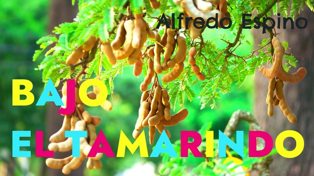 BAJO EL TAMARINDO ALFREDO ESPINO ‍ | Jícaras Tristes Auras del Bohío | Alfredo Espino Poemas