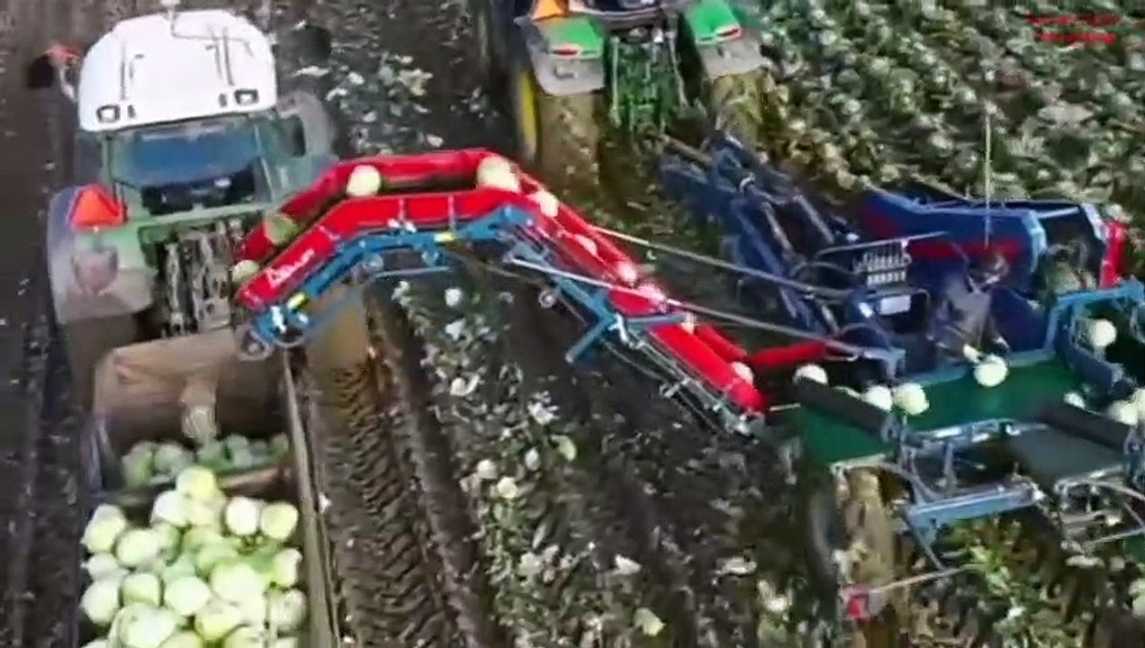 क्या यूट्यूब इंडिया में बैन हो रहा है when youtube banned in Indi  why youtube not open