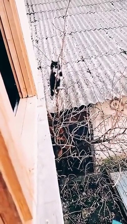 Mission: Impossible .