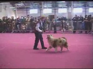 Daniel Meyrieux - Valence 2008