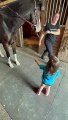 Horse Answers Kid's Candid Question