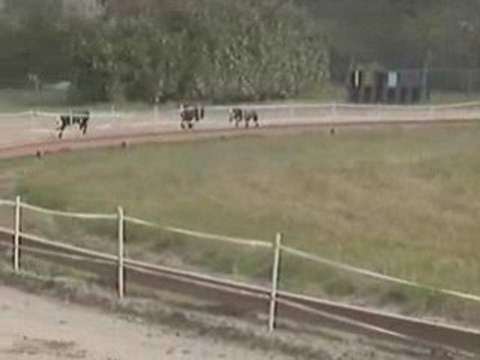 Bob - 15.03.08 - 17sec69+