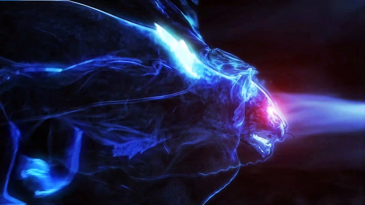 Electric Fly Swatter DHWP01L (Review) video Dailymotion