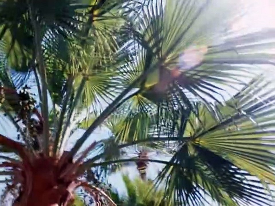 Hunter Staffel 3 Folge 13 HD Deutsch