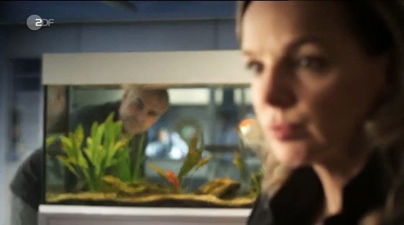 SOKO Köln Staffel 9 Folge 19 HD Deutsch video Dailymotion