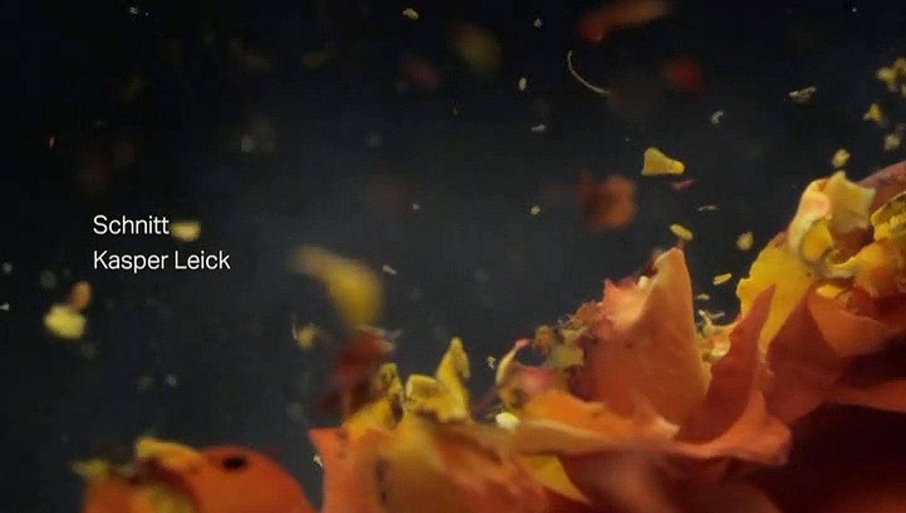 Die Erbschaft Staffel 1 Folge 7 HD Deutsch