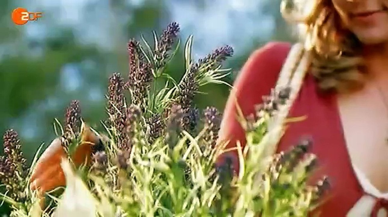 Alisa - Folge deinem Herzen Staffel 1 Folge 235 HD Deutsch