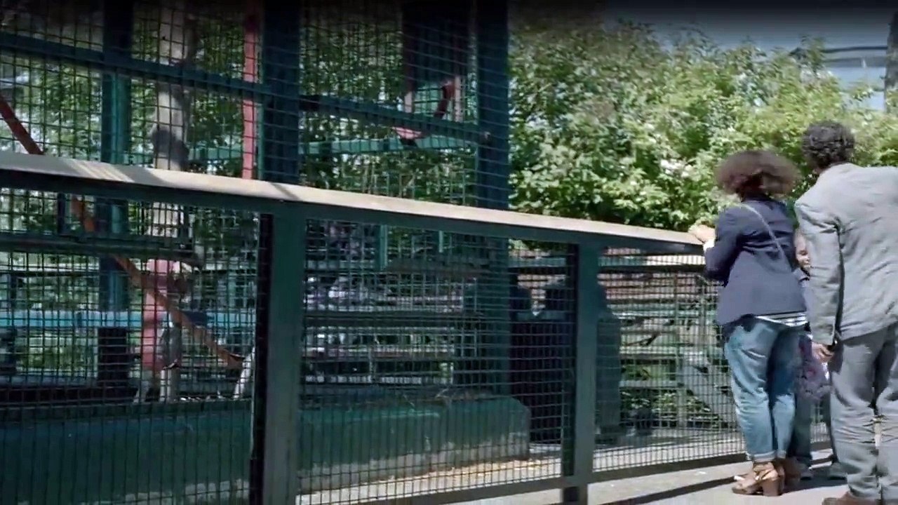 The Tunnel - Mord kennt keine Grenzen Staffel 1 Folge 9 HD Deutsch