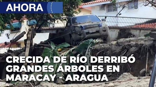 Crecida de río derribó grandes árboles en El Potrero - Aragua - 19Oct - @VPItv