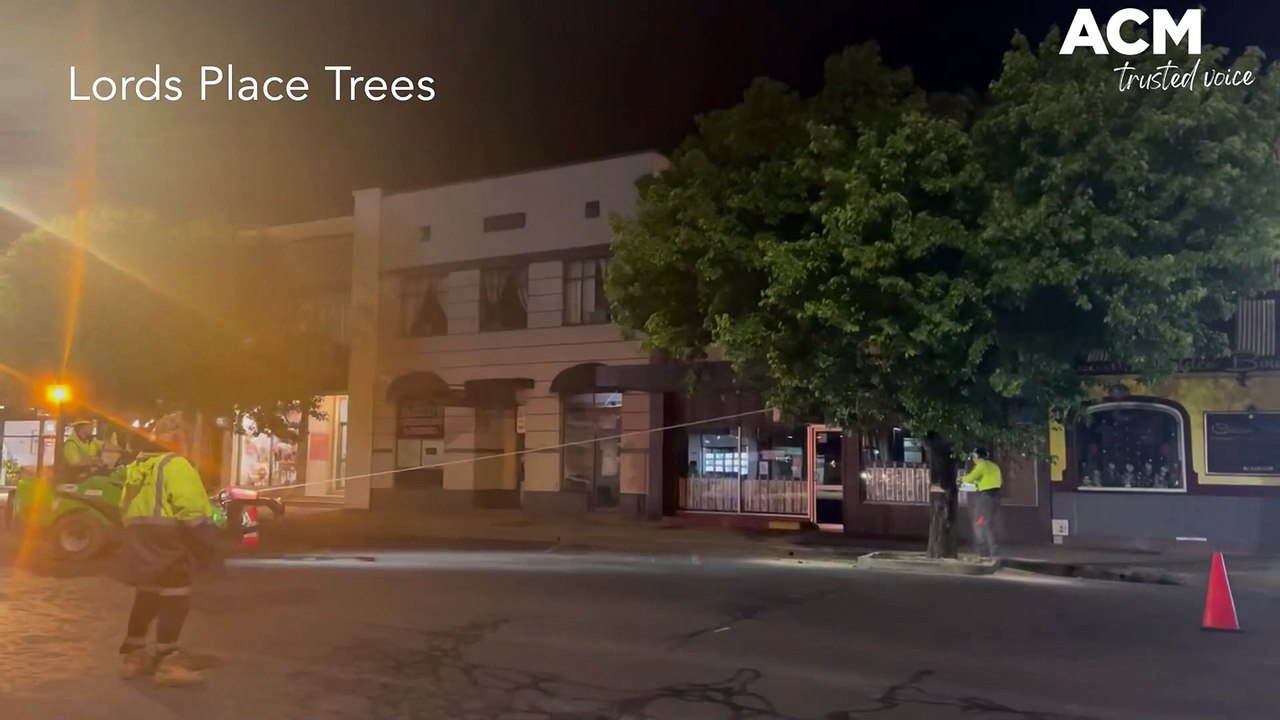 Lords Place Trees