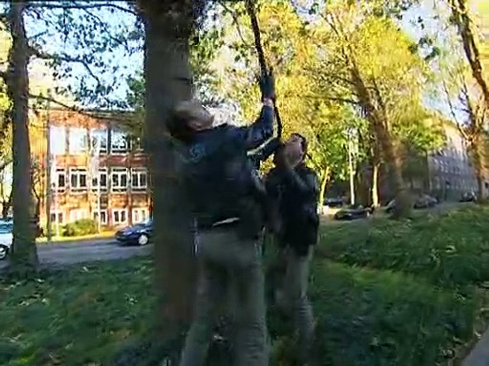 Toto & Harry Staffel 7 Folge 2 HD Deutsch