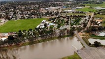 Murray River flows to hit 1975 levels as SA government sends engineers to check levees