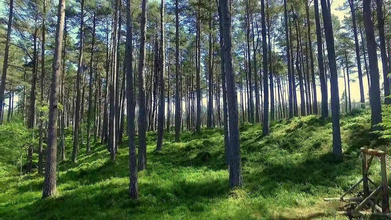 Churchills Geheimagenten - Die Neuen Staffel 1 Folge 1 HD Deutsch