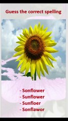 Spelling of the word is correct or not.