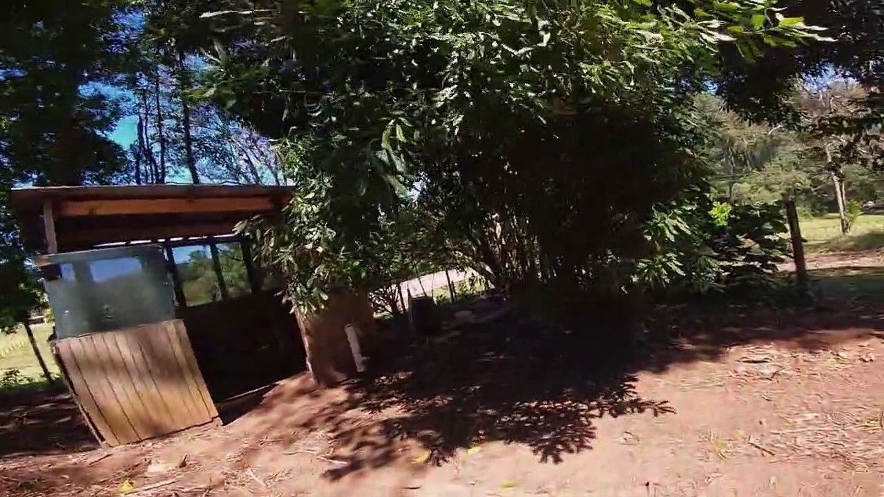 Snake Security - Schlangenalarm in Australien Staffel 1 Folge 3 HD Deutsch