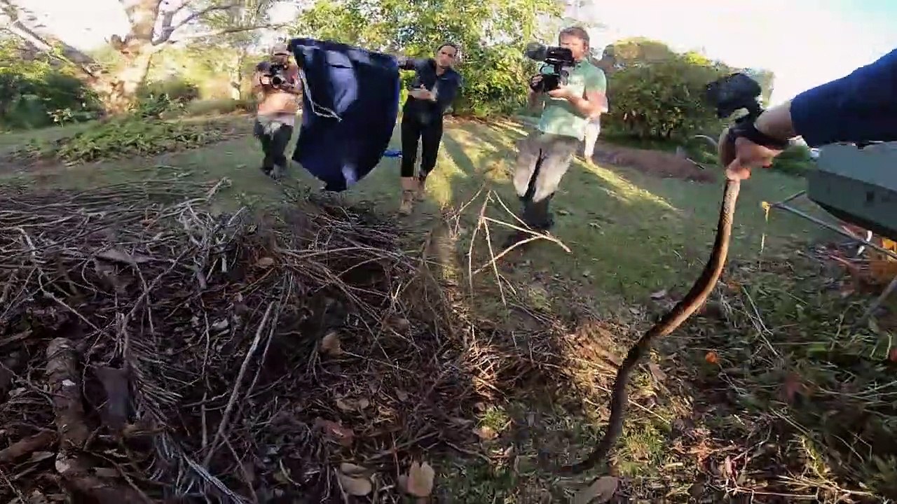 Snake Security - Schlangenalarm in Australien Staffel 1 Folge 4 HD Deutsch