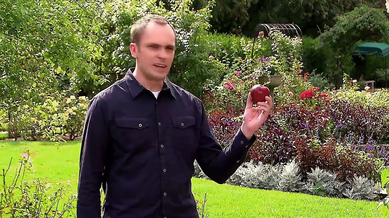 Morgan Freeman Mysterien des Weltalls Staffel 4 Folge 3 HD Deutsch