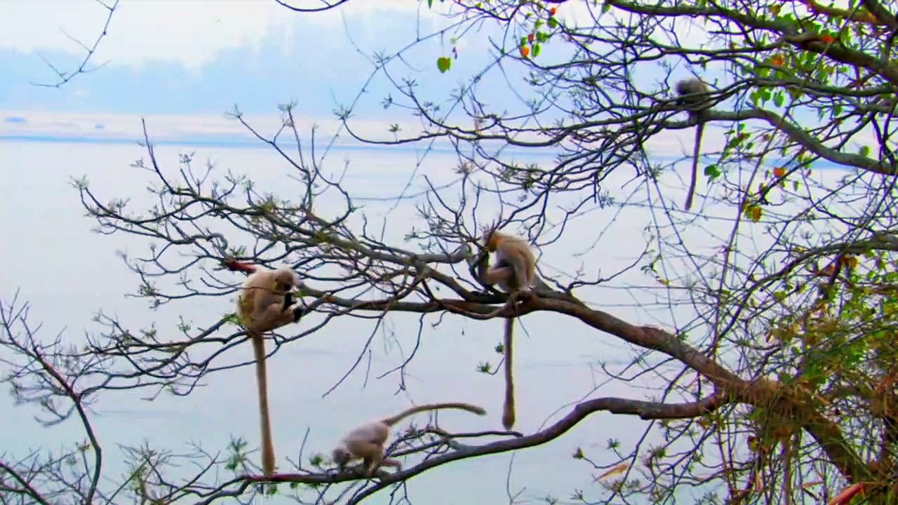 Indiens verlorene Schätze Staffel 1 Folge 1 HD Deutsch