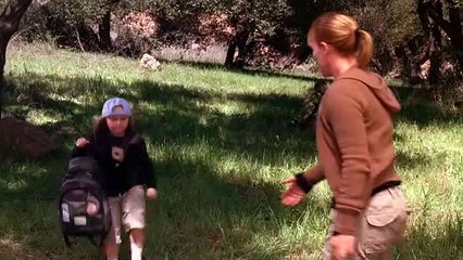 Medium - Nichts bleibt verborgen Staffel 2 Folge 18 HD Deutsch