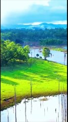 Light music with guitar