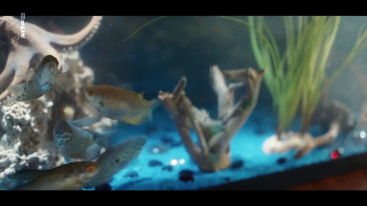 Die Frau aus dem Meer Staffel 1 Folge 3 HD Deutsch