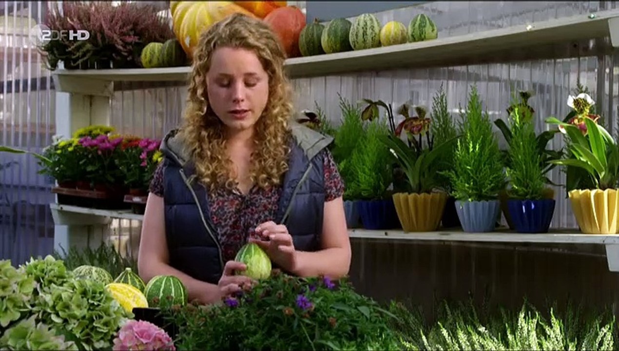 SOKO Wismar Staffel 9 Folge 17 HD Deutsch video Dailymotion