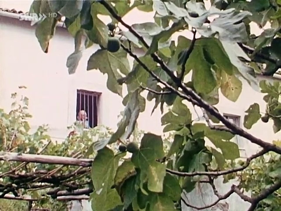 Okay S.I.R. Staffel 1 Folge 17 HD Deutsch