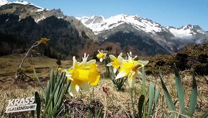 Krass Klassenfahrt Staffel 3 Folge 11 HD Deutsch