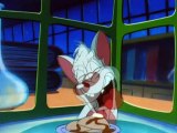 Pinky & der Brain Staffel 1 Folge 1 HD Deutsch